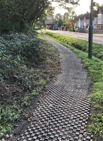 Ditton Common Station Rd path 2LR