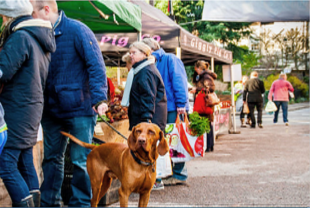 Farmers Market