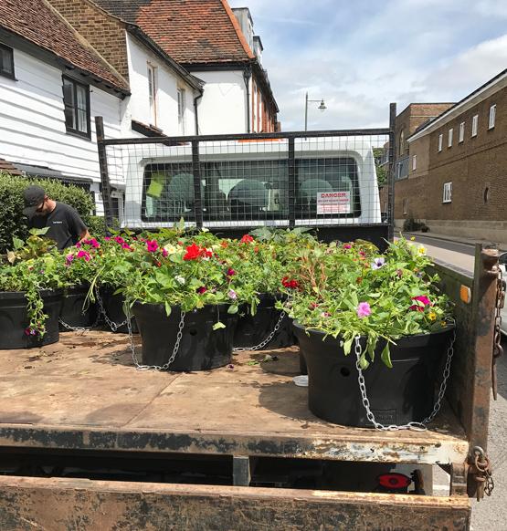 Hanging baskets 2