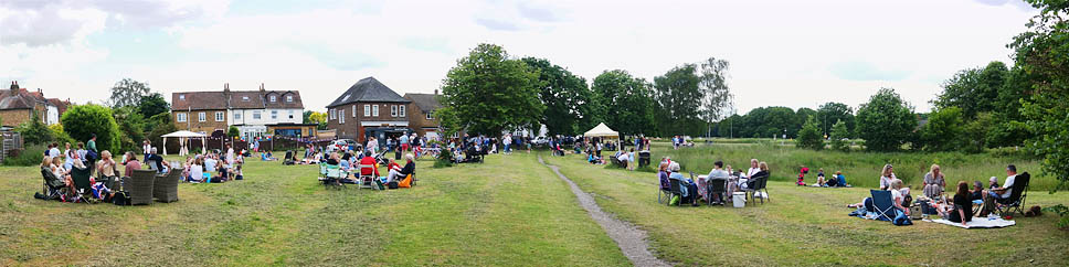 Jubilee picnic 3a