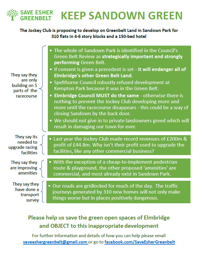 Keep Sandown Green leaflet
