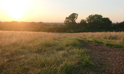 Long Ditton One Tree Hill 2LR