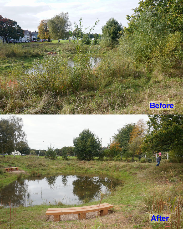 Milbourne Pond BeforeAfter