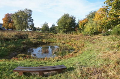 Milbourne Pond 2023 after cut back