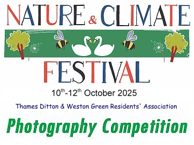 Nature & Climate Festival Photo Competition 2025