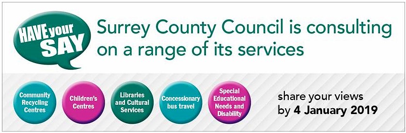 Surrey CC services consultation