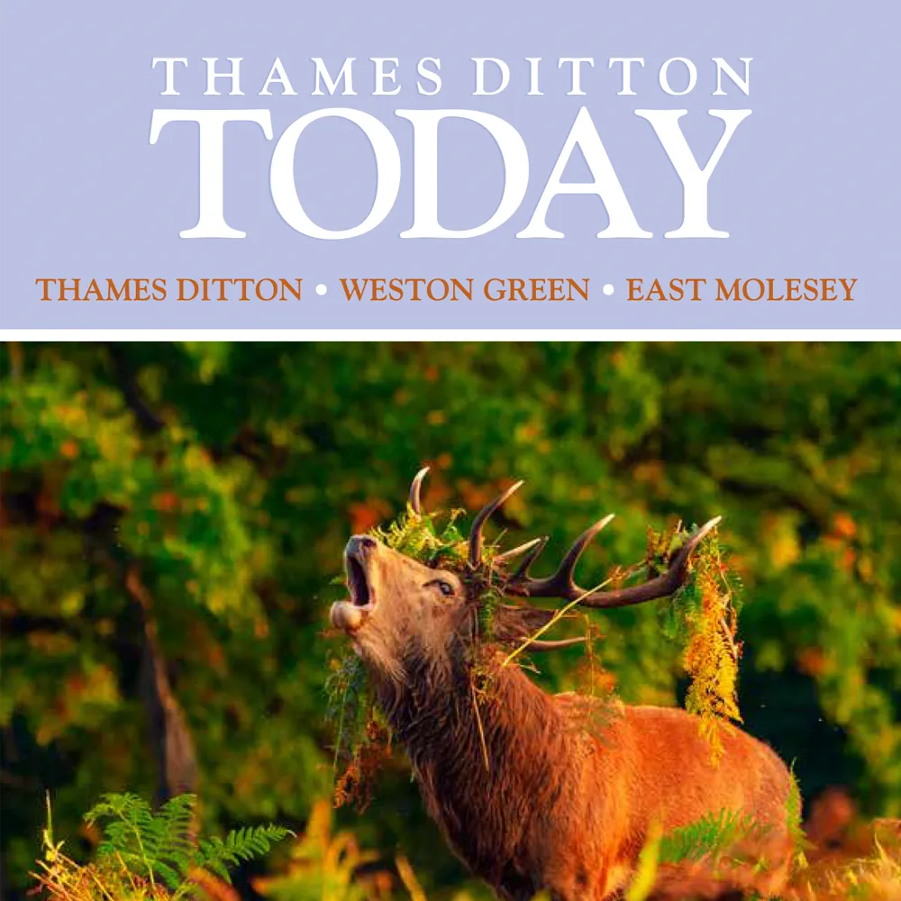 Thames Ditton Today magazine