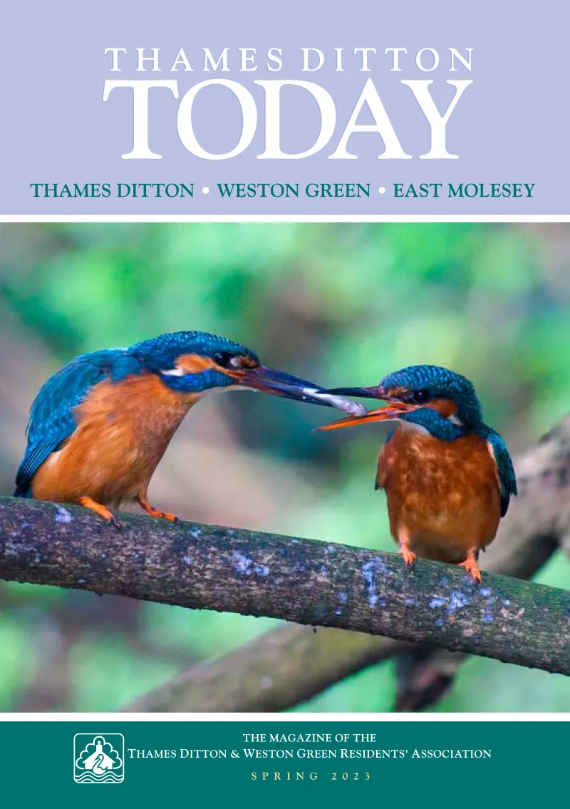 spring 2023 cover