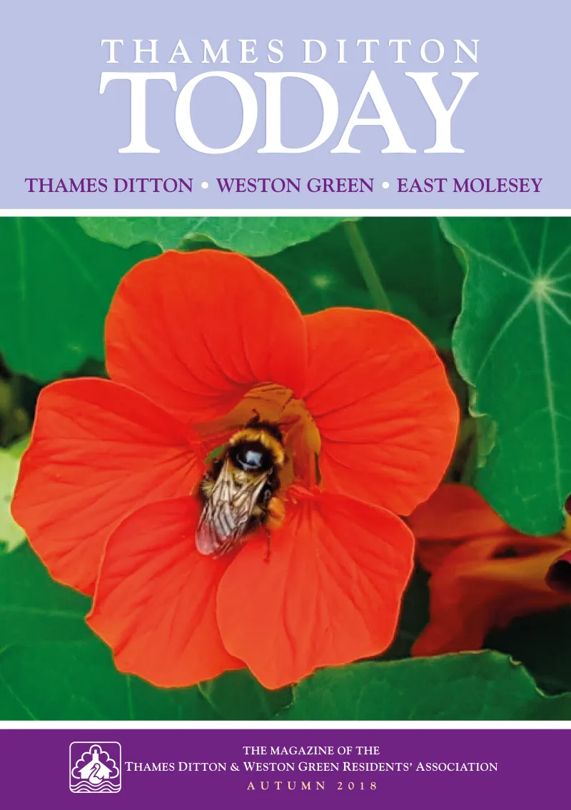 Autumn 2018 cover