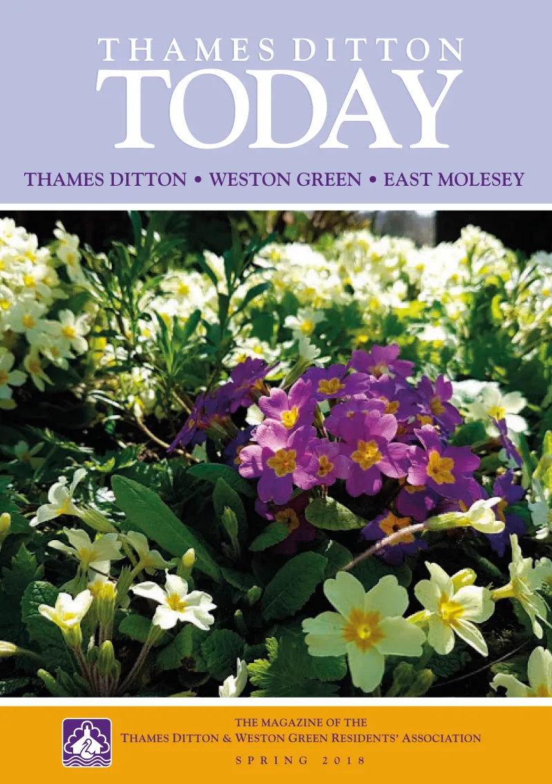 Spring 2018 cover