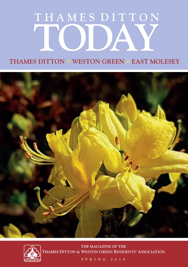 Spring 2019 cover