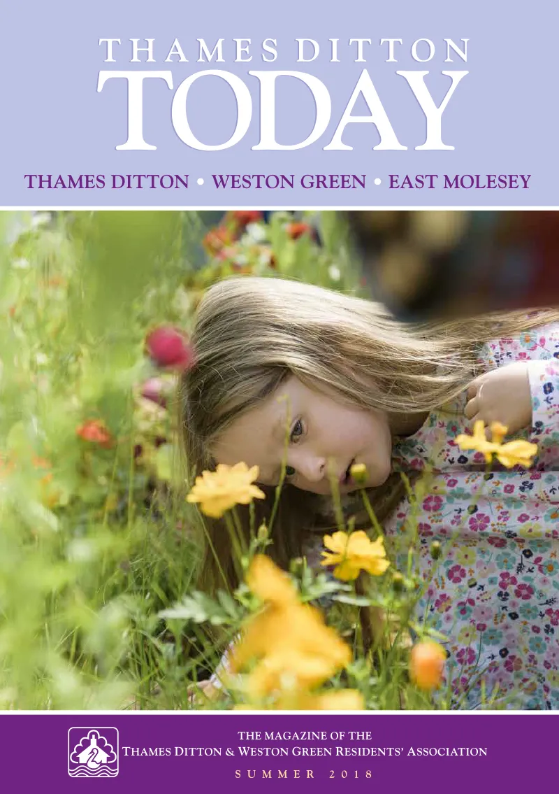 Summer 2018 cover